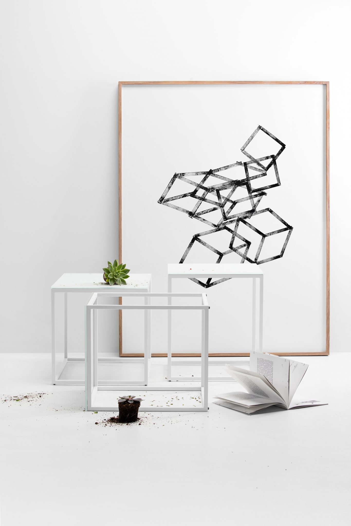 frame