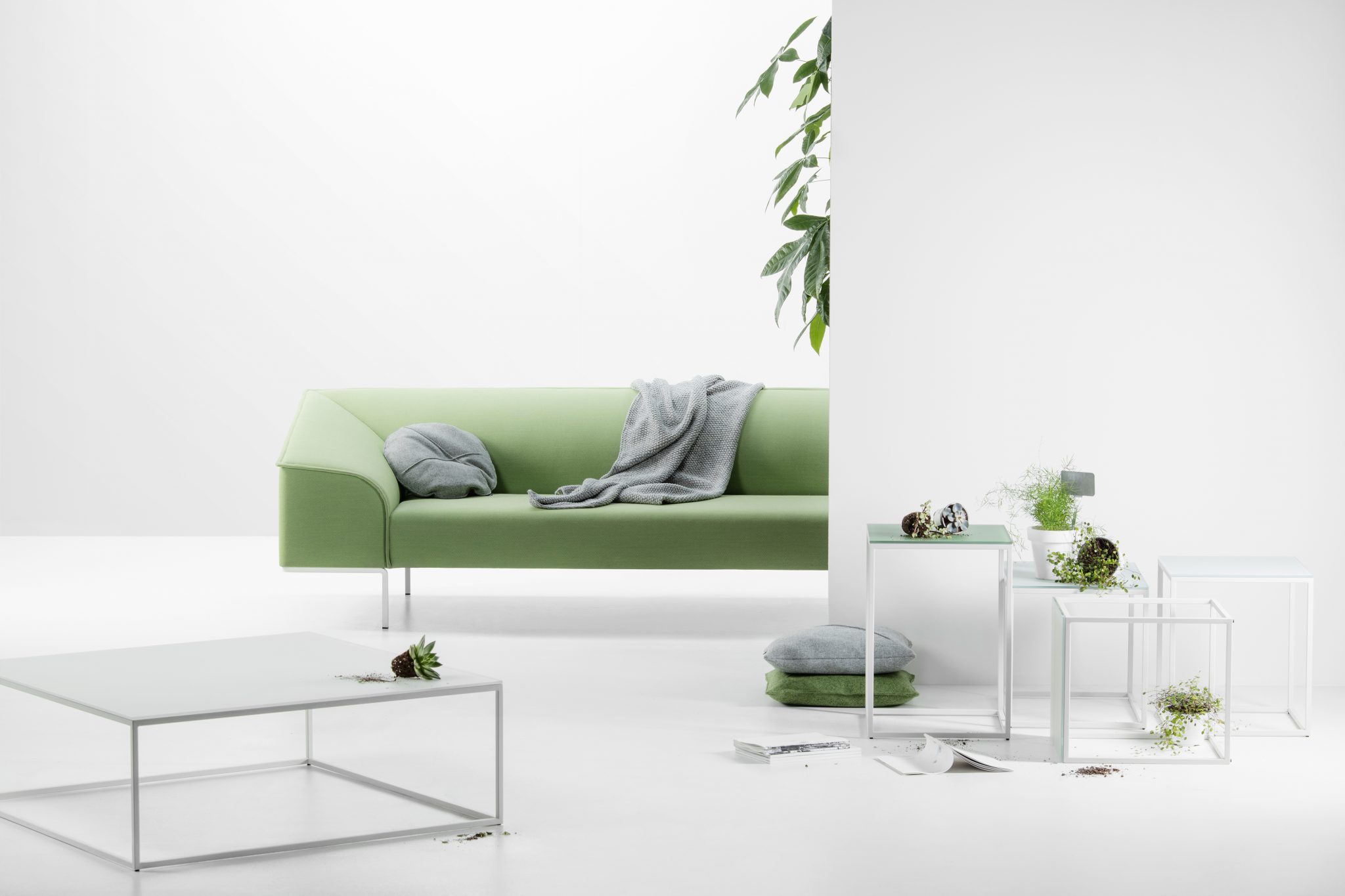 seam Serie von prostoria